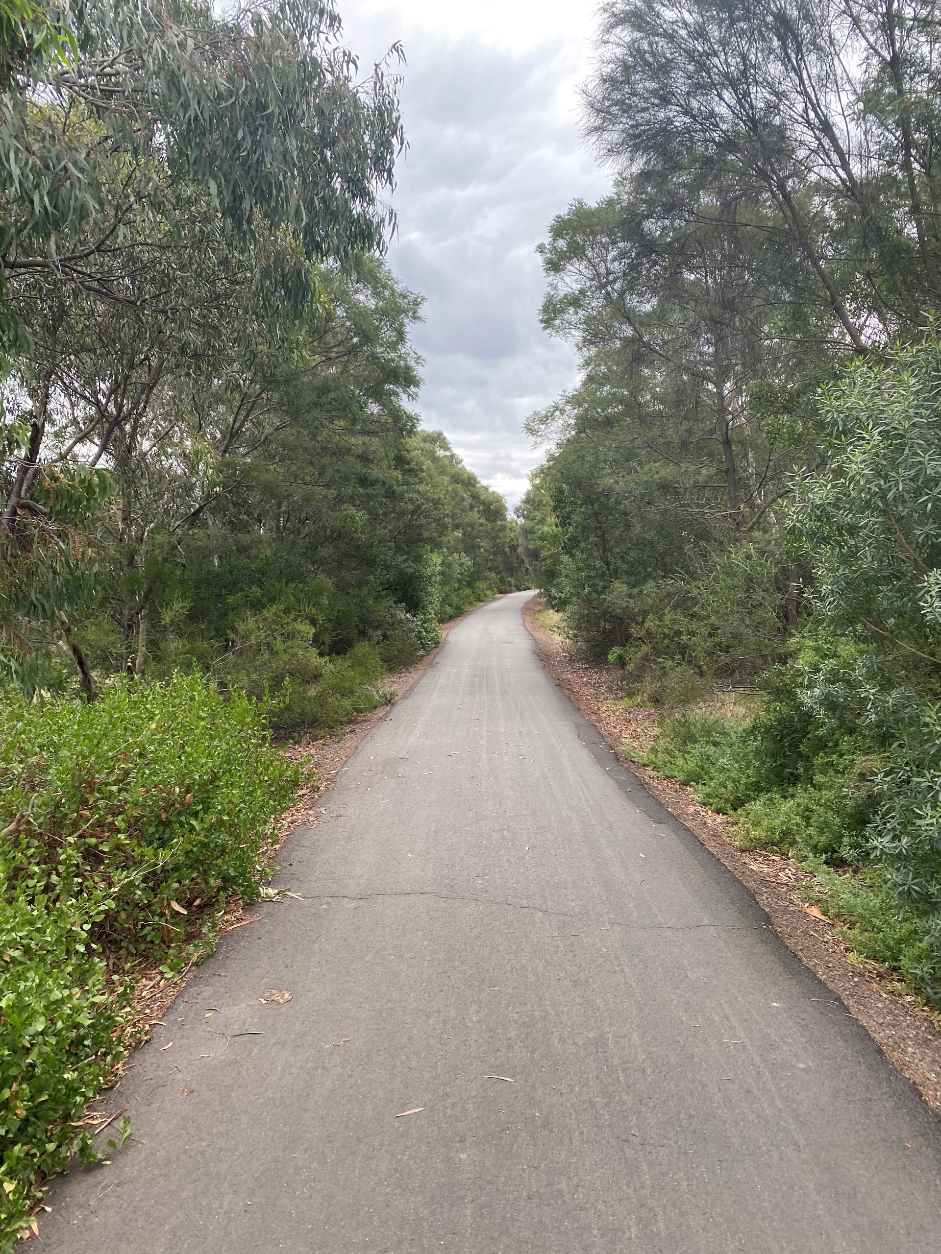 Section of Bellarine Rail Trail between Melaluka and Bawtree Road