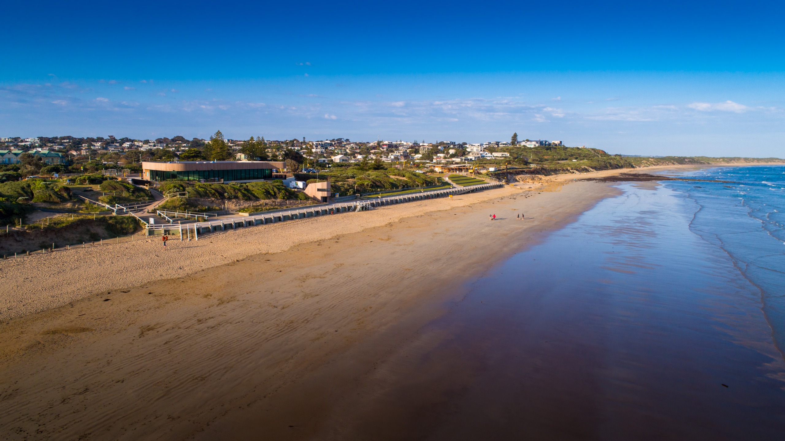 Ocean Grove Dog Controls engagement update Ocean Grove Main Beach Dog Controls Trial Have